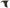 Seibon 93-98 Toyota Supra TV-Style Carbon Fiber Fenders (Pair)